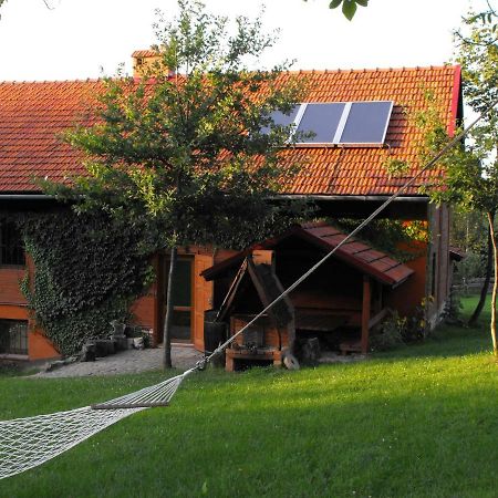 Agroturystyka Zacisze Czarna Owca Brzezanka Zewnętrze zdjęcie