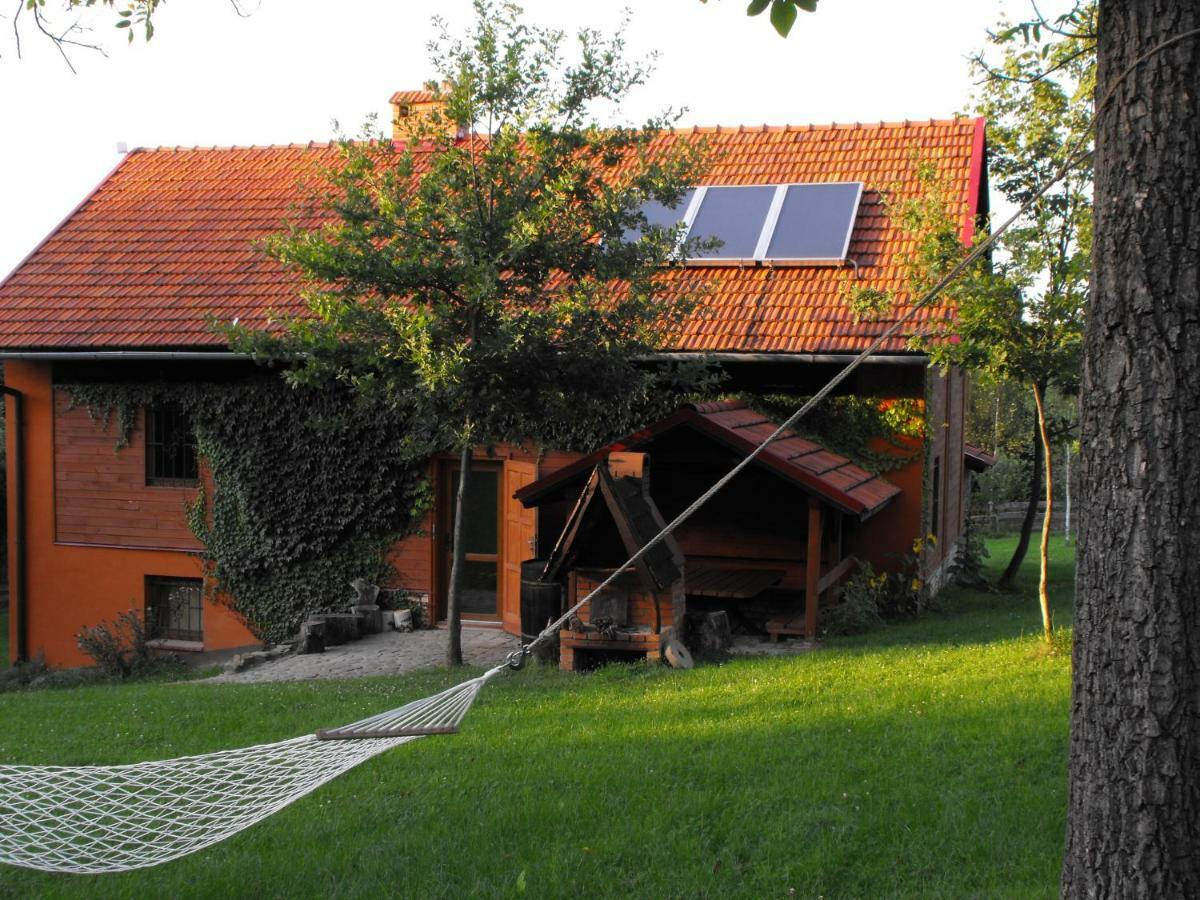 Agroturystyka Zacisze Czarna Owca Brzezanka Zewnętrze zdjęcie